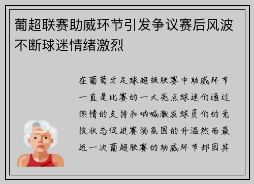 葡超联赛助威环节引发争议赛后风波不断球迷情绪激烈