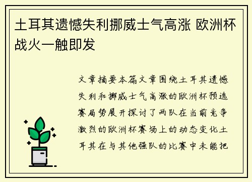 土耳其遗憾失利挪威士气高涨 欧洲杯战火一触即发