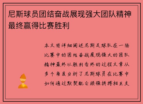 尼斯球员团结奋战展现强大团队精神最终赢得比赛胜利