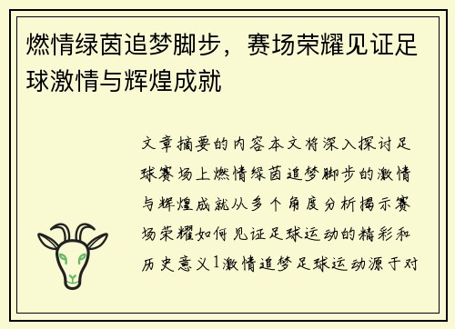 燃情绿茵追梦脚步，赛场荣耀见证足球激情与辉煌成就